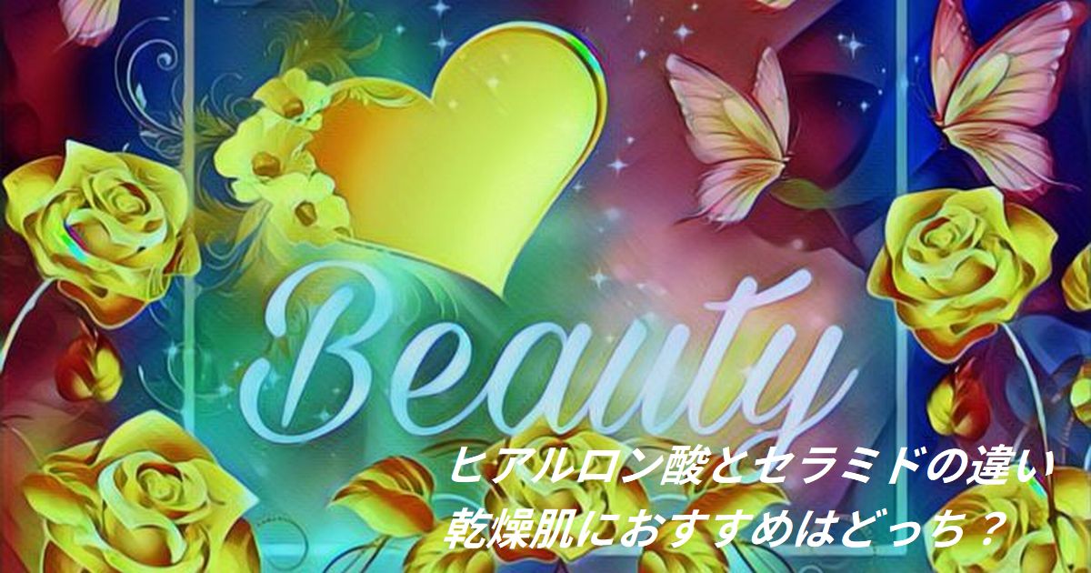 ヒアルロン酸とセラミドの違いと乾燥肌におすすめの成分