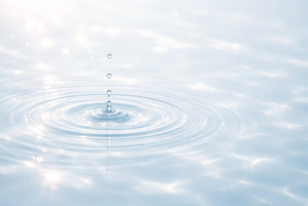 水滴をまとった葉がみずみずしさを感じさせるイメージ