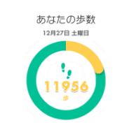 ウォーキングで11,956歩を記録した歩数計画面