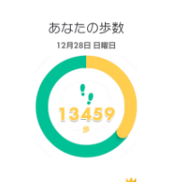冬の朝ウォーキングの歩数記録 13459歩