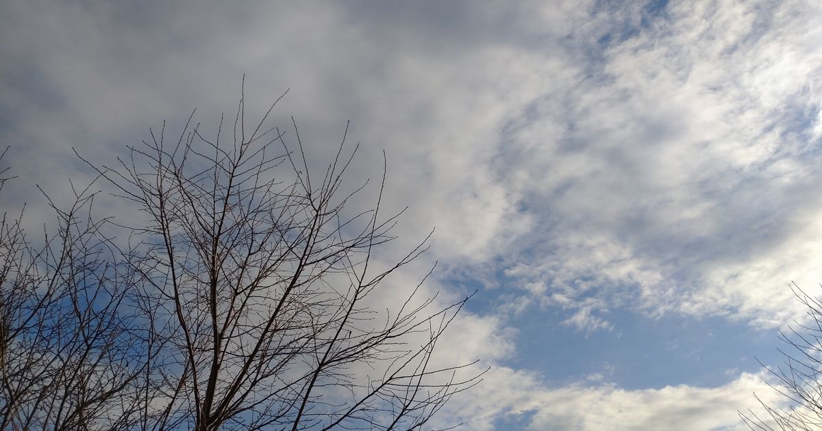 冬の朝、雲の合間に青空と木が見えるウォーキング中の風景