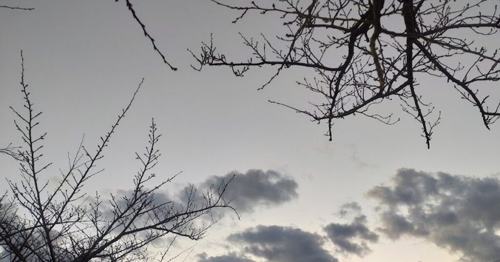 強風が吹き荒れる冬のウォーキング中の空。乾燥した空気に負けない肌バリア対策。