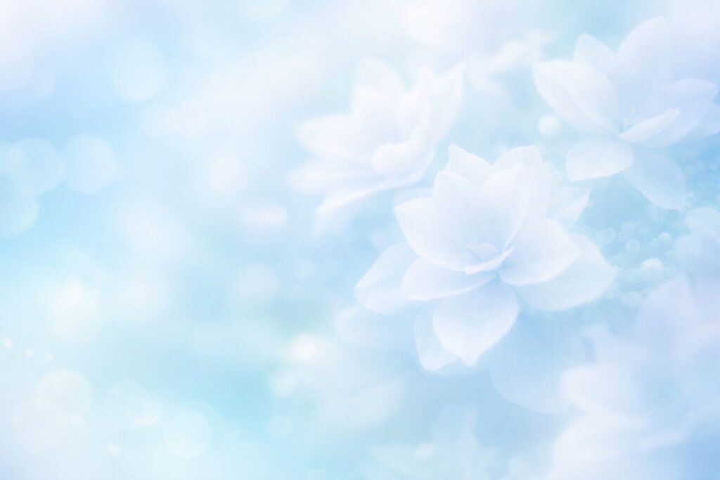 40代の肌がくすんで見える原因と美容液の選び方で巡りと明るさを整える基本設計をイメージした光と花の画像